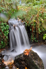 Small Waterfall in Autumn Forest
