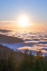 Sonnenaufgang im Schwarzwald vor Wolkendecke