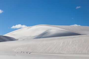 Fototapeta na wymiar White sand dunes in the Andes mountains