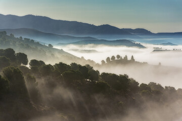 Landscape of mountains and forests flooded by clouds at sunrise.