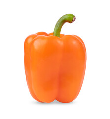 orange pepper on white background