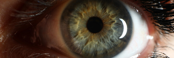 Focused photo on green beautiful female eye with long eyelashes, that being covered with black...