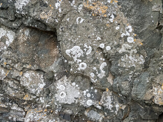 Abstract texture of rock near to the sea