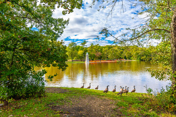 Fototapeta premium Fabyan Forest Preserve view in Illinois