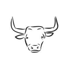 black and white linear paint draw bull vector illustration. bull vector sketch illustration