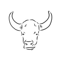 black and white linear paint draw bull vector illustration. bull vector sketch illustration