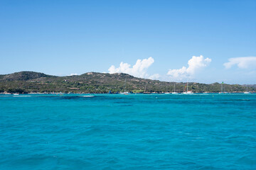 Fototapeta premium Corsican mountain desert countryside full of vegetation tree next to the sea
