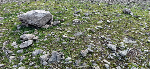 The stones on the floor in the forest