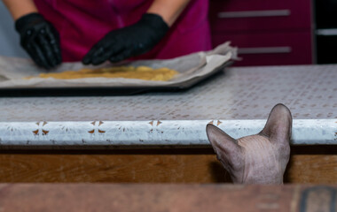 Roll out the shortbread dough on parchment in a baking dish to make delicious cookies.