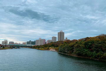 Obraz premium 東京 旧中川と空