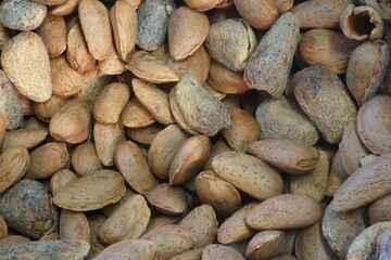 natural almonds from the fields of Tarragona