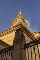 Cathedral of Oviedo