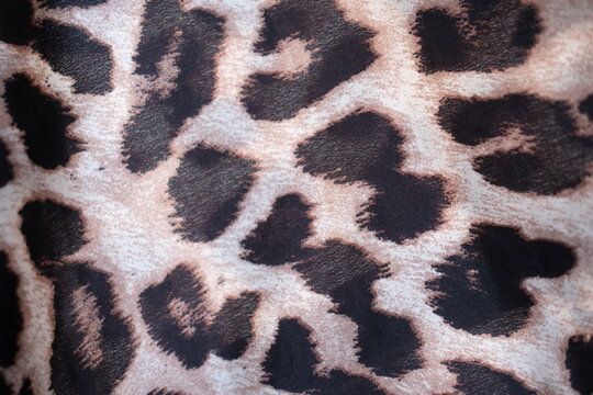 close up of a leopard skin