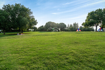Fototapeta na wymiar Fine weather and the lawn in the park