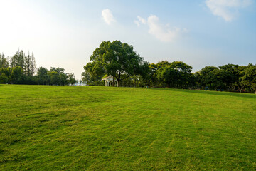 Fine weather and the lawn in the park