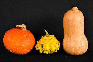 Herbstzeit ist Kürbiszeit - Drei von unzählig vielen Kürbisarten - freigestellt vor schwarzem...