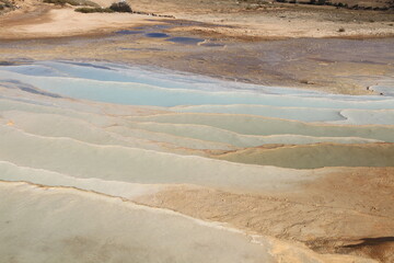 Badab Soort