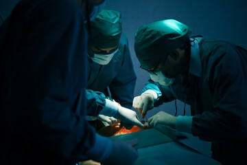 Surgical team or doctor and staff have vivisection in surgery room of the hospital and using equipment tool for the operation