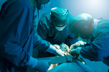 Surgical team or doctor and staff have vivisection in surgery room of the hospital and using equipment tool for the operation