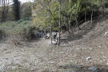 montagna e natura