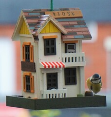 Vogelhäuser mit ihren Bewohnern