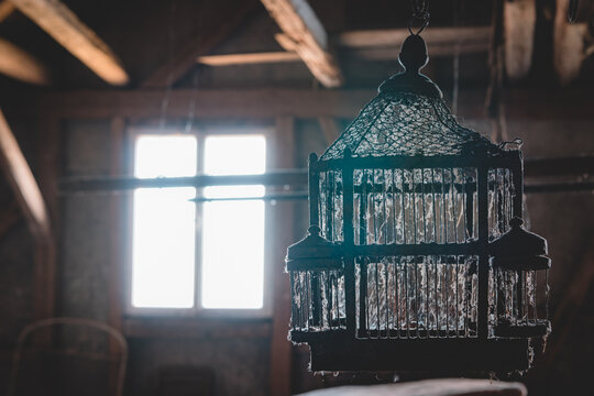 An Old Bird Cage In An Abandoned House