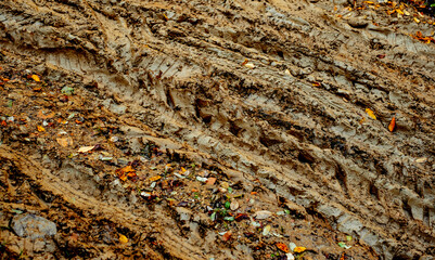 traces of cars in the mud