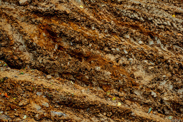 traces of cars in the mud