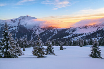Fototapeta na wymiar Awesome sunrise. Winter forest. A panoramic view of the covered with frost trees in the snowdrifts. High mountains with snow white peaks. Natural landscape with beautiful sky.