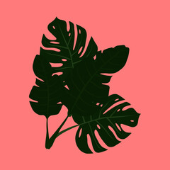 Set of exotic leaves
