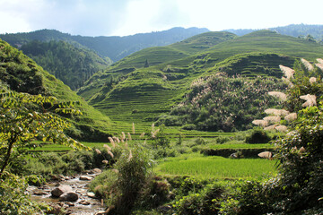 Rice fields in Dazhai China