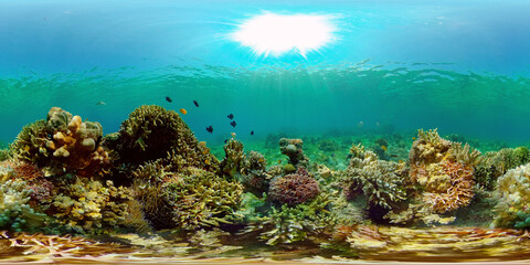 Tropical coral reef and fishes underwater. Hard and soft corals. Philippines. Virtual Reality 360.