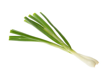 bunch of green onions isolated without shadow clipping path