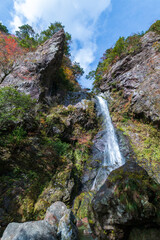 大荒の滝　見上げる　秋　（高知県　香美市）