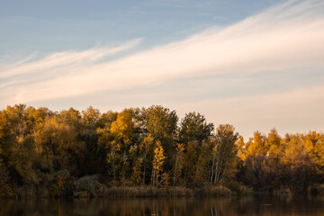 Naklejka na ściany i meble Autumn forest on the river.