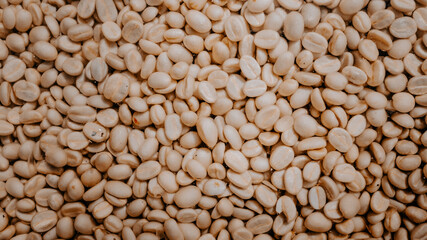 Coffee beans in the fermentation and washing process, dry raw coffee beans.