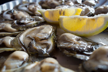 Food plate of fresh natural organic oysters with lemon