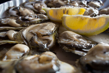 Food plate of fresh organic oysters with lemon