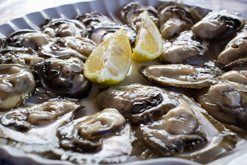 Food plate of fresh natural organic oysters and lemon