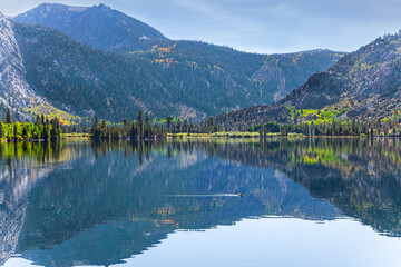 Magnificent Silver Lake, California.