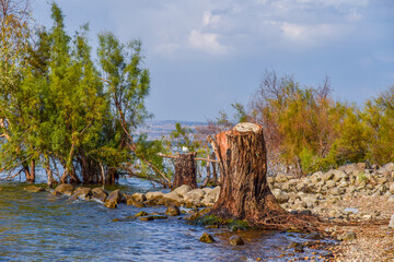 View of Sea of Galilee against the background of the Golan Heights in Israel. Camping on the shores of the Sea of Galilee. Red tent. Cloudy Blue Sky. High quality photo