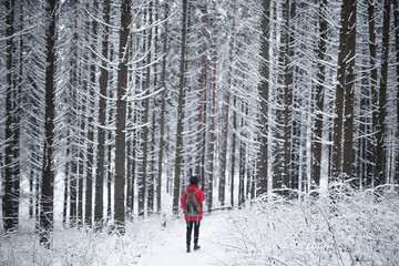 girl in the winter forest view from the back
