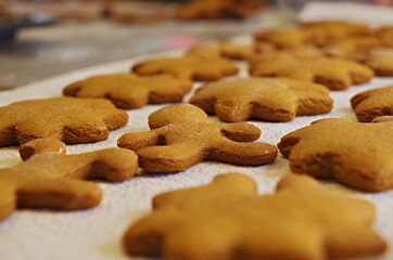 Gingerbread Cookies