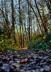 Foto scattata lungo un sentiero che collega Tassarolo con Pasturana (AL).