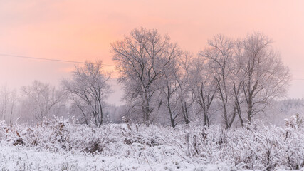 Fototapeta na wymiar Pokryte śniegiem drzewa i pola podczas wschodu słońca