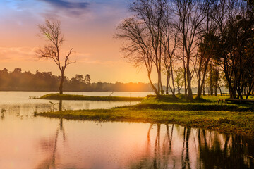 Nice landscape with tree and lake on sunrise or sunset in autumn.