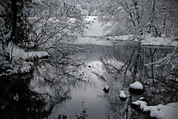 Winter reflection in partly thawed ice cover at Longemer lakeside in a winter landscape. Vosges,...