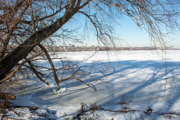 
whimsical shadows on the snow from tree branches on a clear winter day