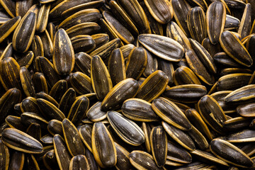 Lot of sunflower seeds detail closeup full frame background