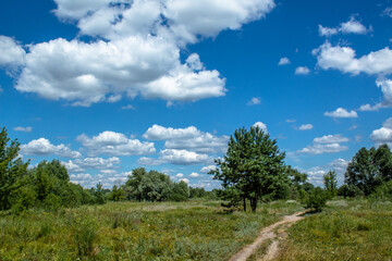 Fototapeta na wymiar landscape with a path in the field in summer, sky with beautiful clouds